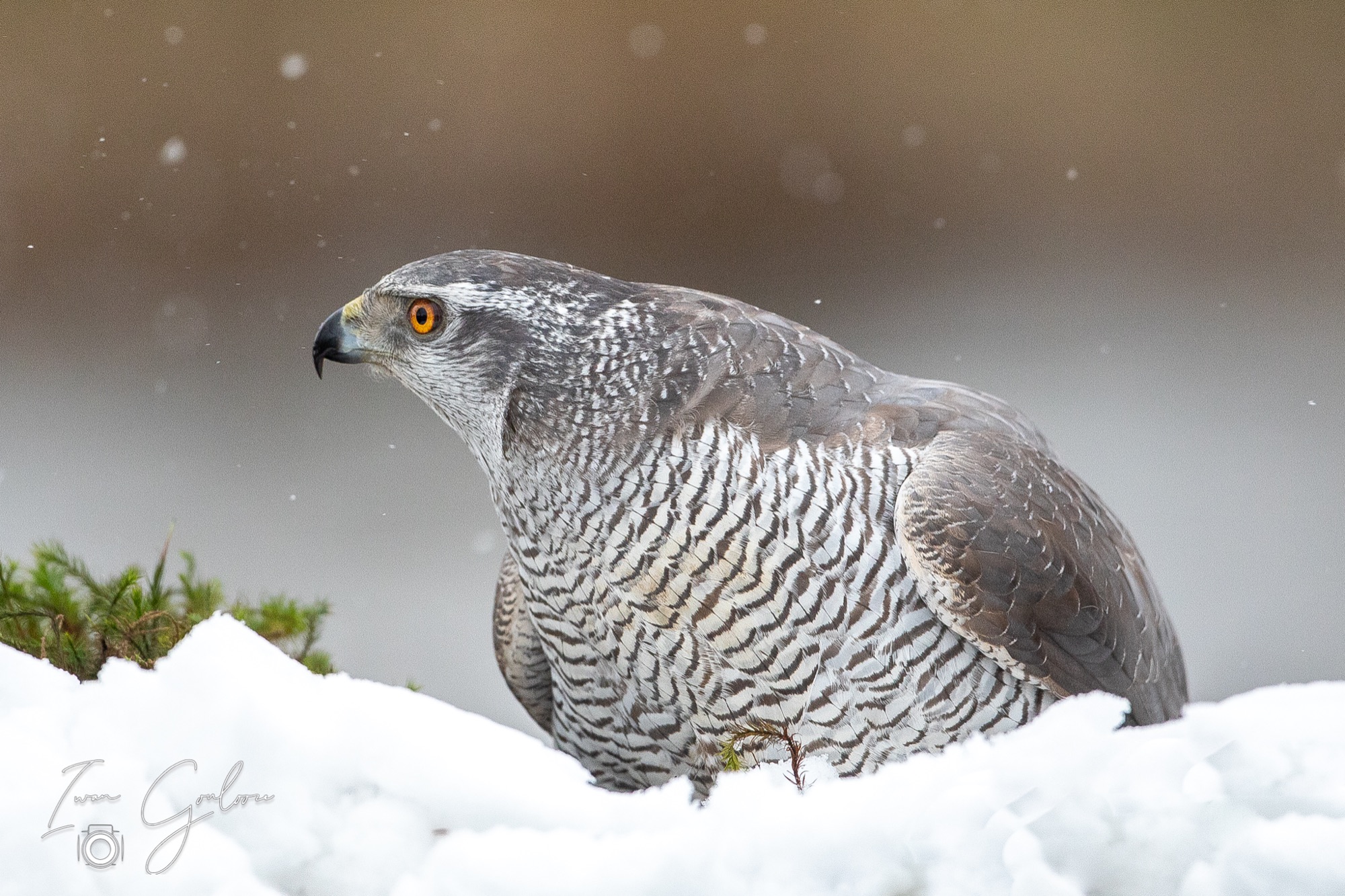 01 april 2022 124936  5D45795